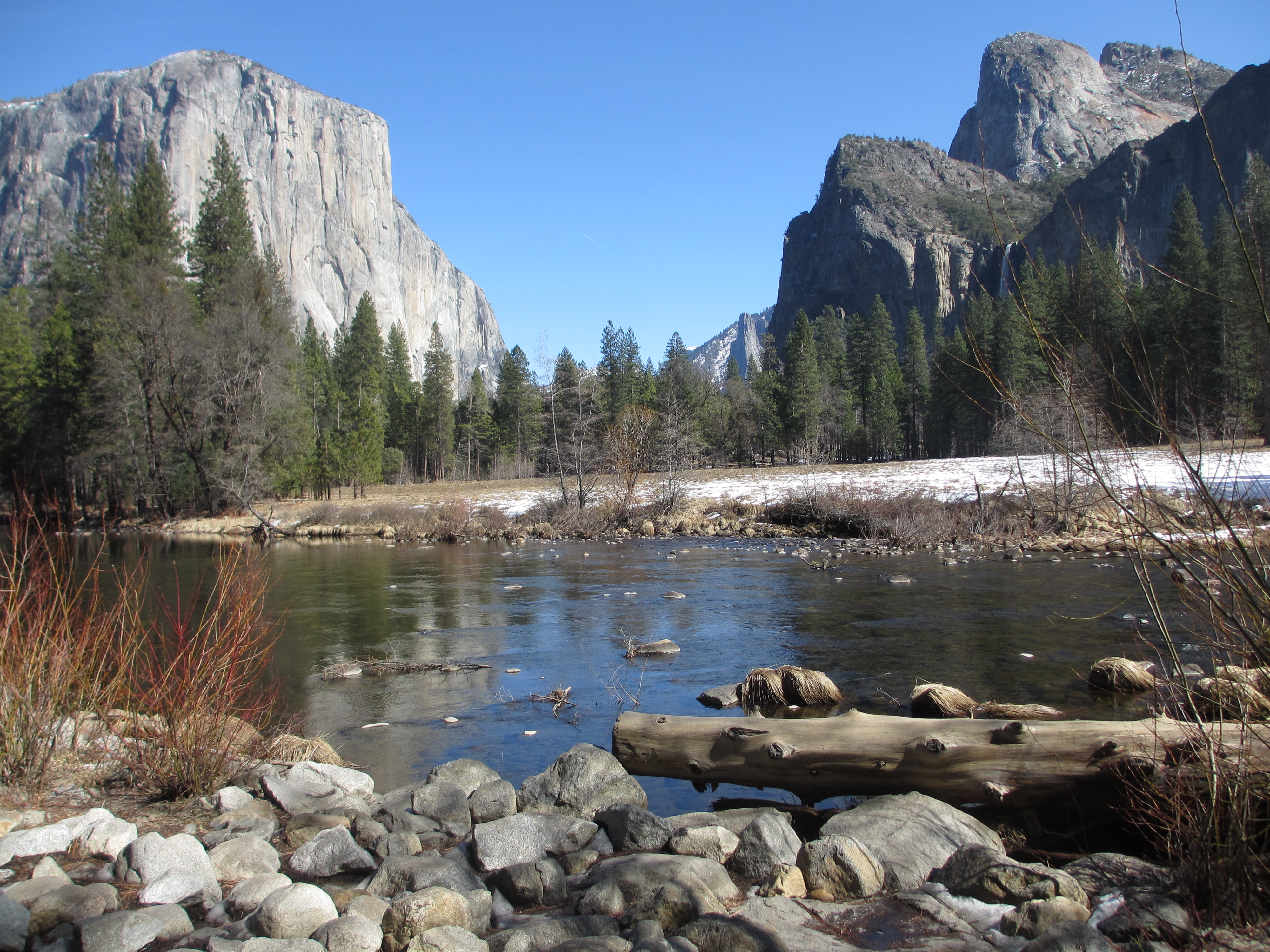 早春遊優勝美地- 國立政治大學北加州校友會